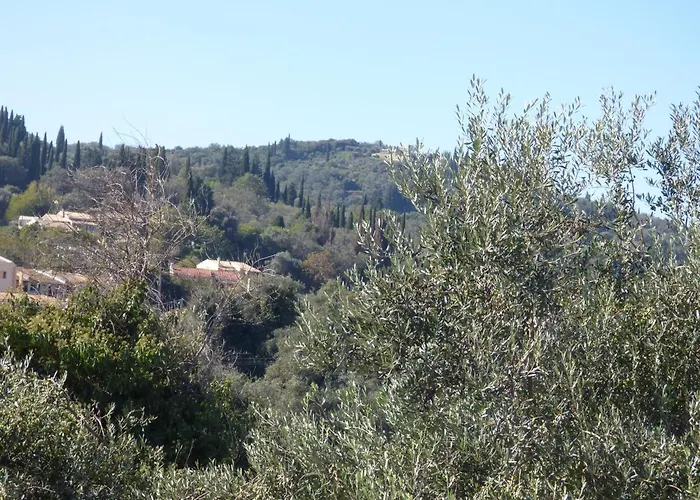 Georges בית הארחה איפסוס